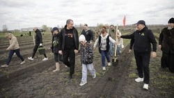 Вячеслав Гладков – об участии в акции «Сад памяти» к 80-летию Великой Победы