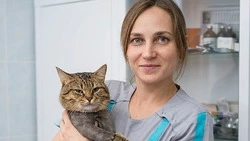 Яна Костюкова из Бирюча помогает домашним питомцам стать здоровыми