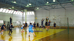 Соревнования по волейболу среди поселений прошли в Красногвардейском районе