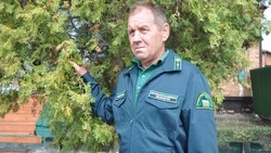  Михаил Карабутов из Красногвардейского района: «Лес – моя судьба»