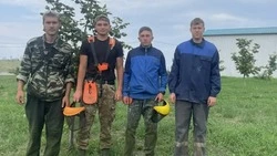 28 подростков и студентов трудились в красногвардейском СПК «Большевик» нынешним летом