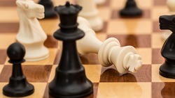 Шахматные площадки появятся в трёх детсадах Красногвардейского района