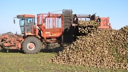 Красногвардейские аграрии приблизились к финишу уборочной страды