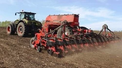 Труженики красногвардейского «Большевика» рассказали о ходе полевых работ