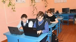 Программа допобразования «Введение в алгоритмику» реализуется в школах Красногвардейского района