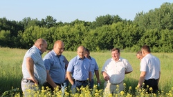 Руководители и специалисты Красногвардейского района обследовали состояние посевов