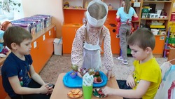 Воспитанники детсада «Солнышко» города Бирюч познакомились с разными профессиями