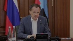   Белгородские власти обсудили перспективы реализации инвестиционных проектов в регионе