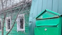 Глава администрации Красногвардейского района побывала в пострадавшем от атаки БПЛА Палатово