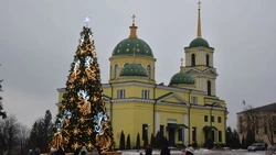 Главная ёлка Красногвардейского района зажгла свои огни в Бирюче.