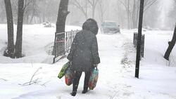 Синоптики передали непогоду в Белгородской области 31 января