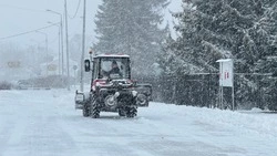 Вячеслав Гладков рассказал о готовности коммунальной техники к работе этой зимой