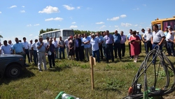 Аграрии региона изучили систему биологизации почв в Красногвардейском районе