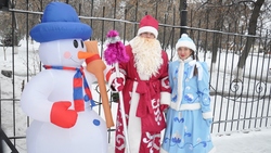 Парад Дедов Морозов и Снегурочек прошёл в Бирюче