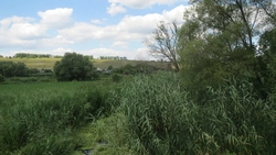 Голубое золото. Юннаты займутся выявлением проблем рек Красногвардейского района