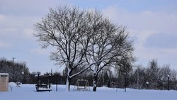 Сотрудники красногвардейского ОМВД напомнили о ходе акции «Безопасность детства» 