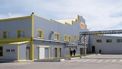 Маслоделы завода «Тульчинка.RU» в прошедшем году произвели более 11 тысяч тон продукции