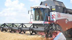 Земледельцы Красногвардейской зерновой компании начали уборку хлеба нового урожая