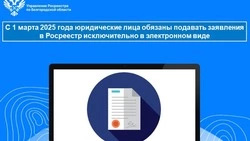 Замруководителя Управления Росреестра по Белгородской области – о новом порядке подачи заявлений 