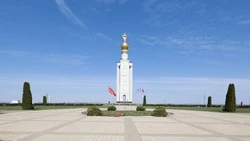 Герои Курской битвы: истории мужества и самоотверженности защитников Белгородчины