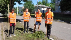 Красногвардейский Центр занятости трудоустроил 240 школьников на время каникул