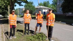 Специалист красногвардейской райадминистрации: «Почувствовать полезность и востребованность»