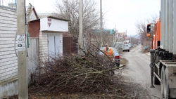 Региональный оператор по обращению с ТКО пояснил порядок вывоза растительных остатков