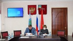 Депутаты Муниципального совета приняли поправки в Устав Красногвардейского района