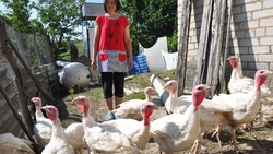 Михаил и Татьяна Кислинские: «Без оптимизма жизнь не та»