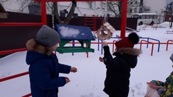 Воспитанники красногвардейского детсада отметили День зимующих птиц
