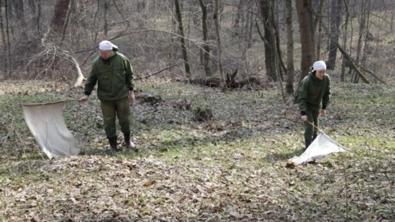 Управление Роспотребнадзора по Белгородской области: «Чем опасен укус клеща»