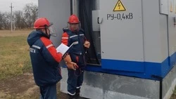 Начальник Красногвардейского РЭС: «Проявляя профессионализм и самоотдачу»