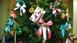 «Ёлка желаний» дала старт череде новогодних мероприятий в Красногвардейском районе