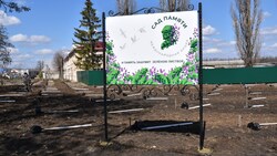 Жители Красногвардейского района высадили деревья в рамках акции «Сад памяти»