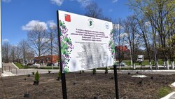 Красногвардейские медики заложили сад в память о воевавших коллегах-земляках