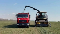 Укос за укосом. Труженики красногвардейского СПК «Большевик» рассказали о заготовке сенажа