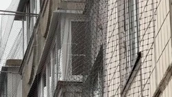 Вячеслав Гладков выразил благодарность губернаторам Пензенской и Курганской областей