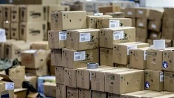 Вячеслав Гладков рассказал о поставке гуманитарной помощи от благотворительного фонда 