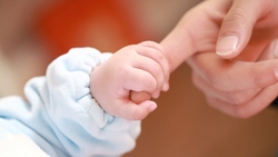 Белгородские семьи смогут получить ежемесячную выплату за рождение первенца уже в феврале