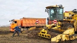 Губернатор Вячеслав Гладков сообщил о перечисление 886 млн рублей на поддержку сельхозпредприятий