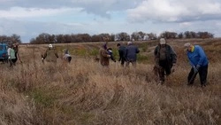 Жители Красногвардейского района высадили осенью более 80 тыс. саженцев лесных деревьев