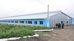 Коллектив красногвардейского хозяйства «Косинова» получил 7 500 кг молока за год