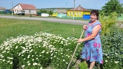 ТОС «Молодёжный» образовался в Новохуторном Красногвардейского района