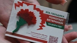 Жители Белгородской области поддержали Всероссийскую акцию «Красная гвоздика»