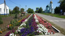 Депутаты Утянского поселения Красногвардейского района выполнили наказы своих избирателей