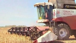 Красногвардейские аграрии приступили к уборке сои