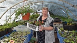 Татьяна Лихолетова из Красногвардейского округа: «Мне нравится делать этот мир ярче»