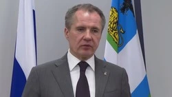 Вячеслав Гладков дал комментарий по вопросу белгородской журналистки