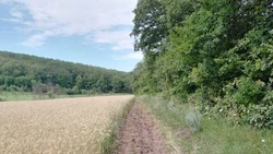 Роспотребнадзор предупредил красногвардейцев об активизации клещей