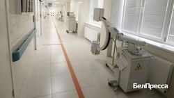 Губернатор Вячеслав Гладков рассказал о работе Фонда помощи раненным детям приграничья